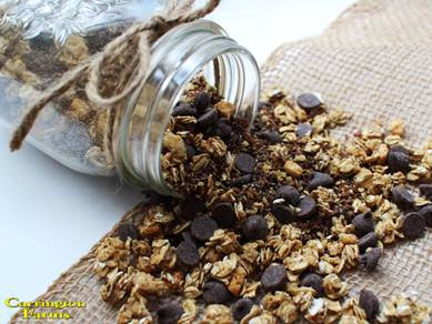 Homemade Cinnamon Granola Recipe