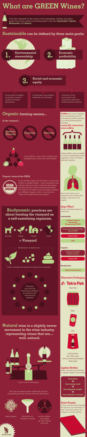 what are green wines infographic wine.com